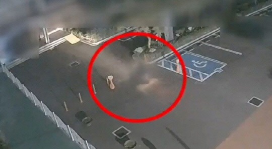 [MBN 보도 화면 캡처]